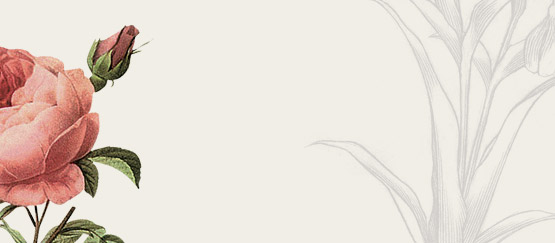 Affiliate Marketing Online Kiểm tra danh mục của chúng tôi