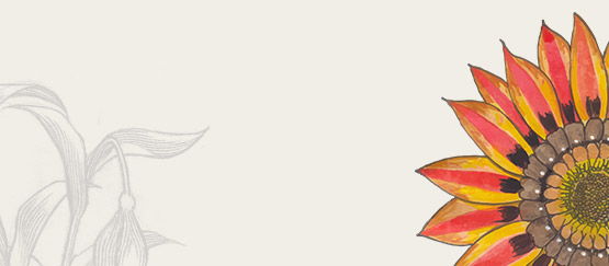 Affiliate Marketing Online Giảm giá 50%